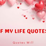 110+ Love Of My Life Quotes – Quotes Will