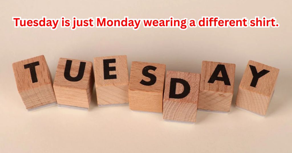 Short Lines Funny Tuesday Quotes